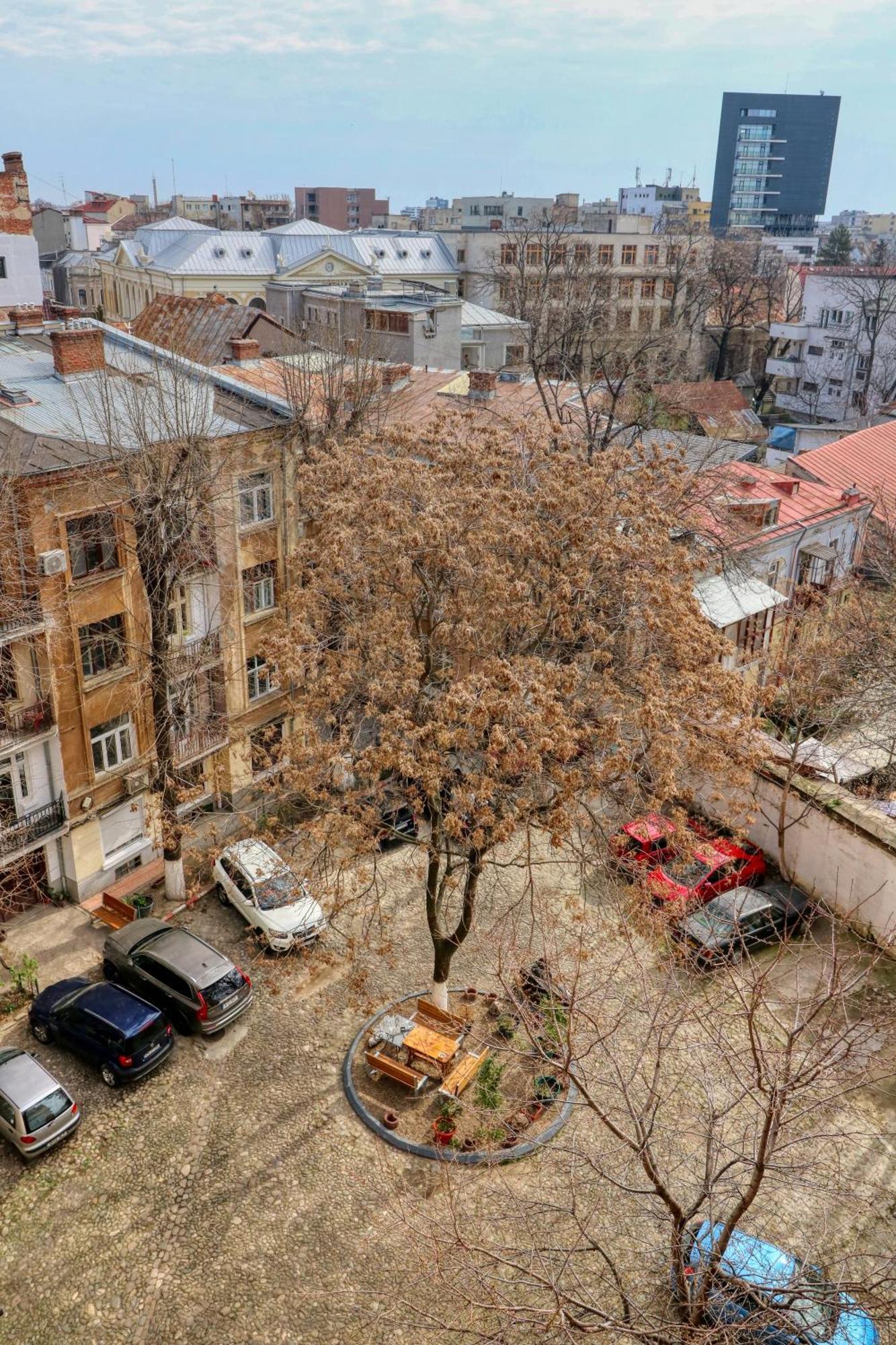 Neo-Classic Design Near Downtown Bucureşti Exterior foto